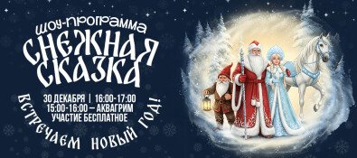 Шоу-программа "Снежная сказка"! Встречаем Новый Год!