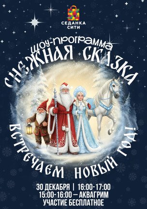 Шоу-программа "Снежная сказка"! Встречаем Новый Год!