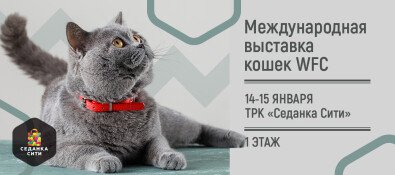 Международная выставка кошек WFC